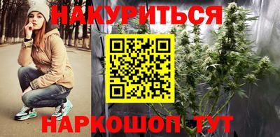 крисы Гай