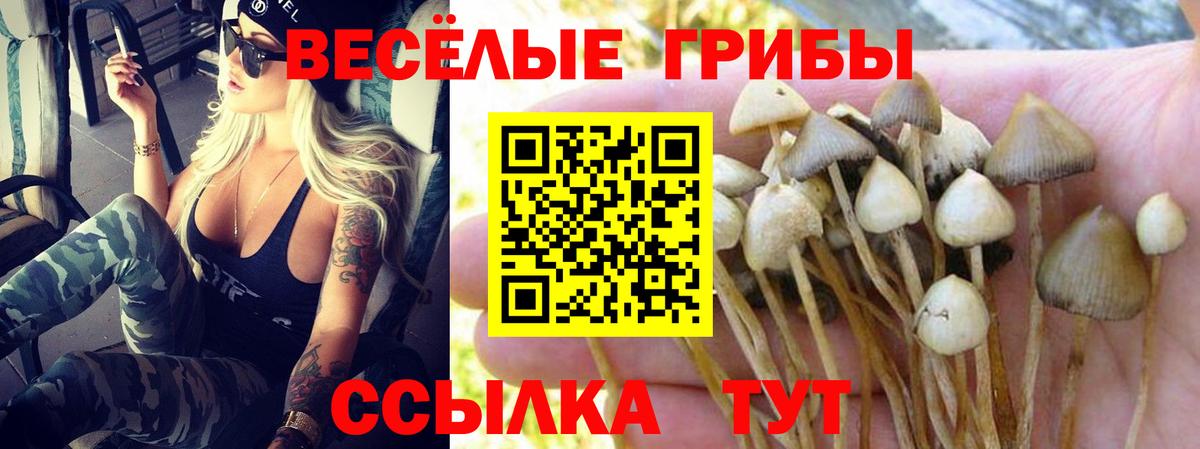 Мытищи  Галлюциногенные грибы мухоморы  Вход с VPN  Галлюциногенные грибы мицелий 